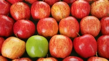 A row of red apples with one green apple in the middle.