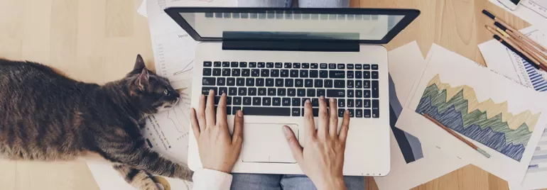 Osoba pisze na laptopie, obok leży kot na dokumentach.